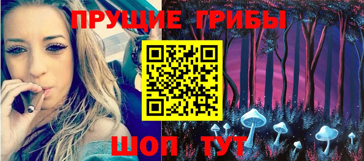 сколько стоит  Псилоцибиновые грибы GOLDEN TEACHER  Вход с VPN  Калининград 
