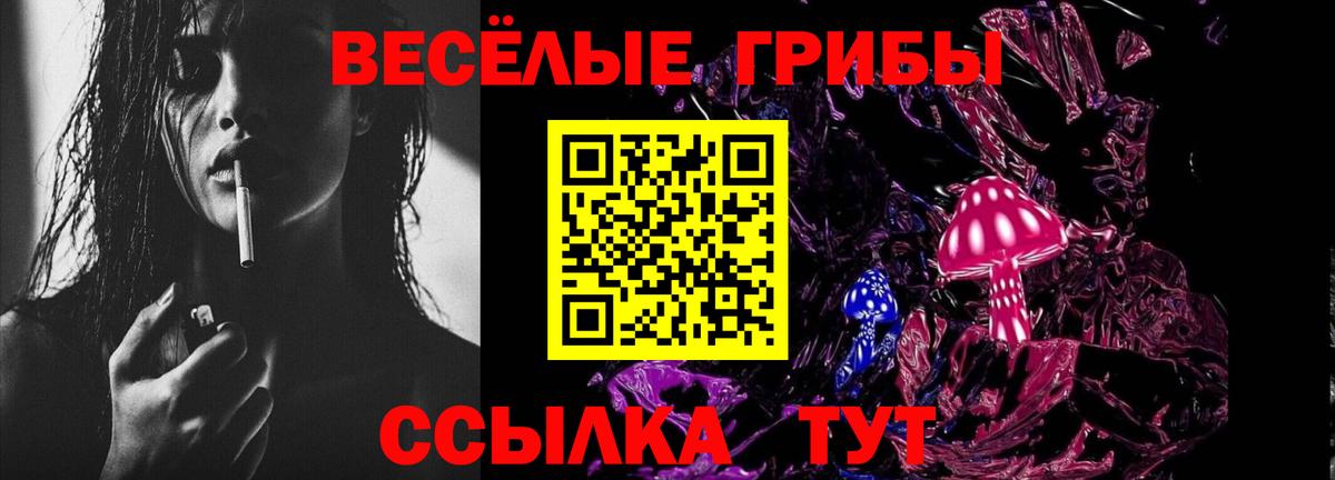 Галлюциногенные грибы MAGIC MUSHROOMS Калининград